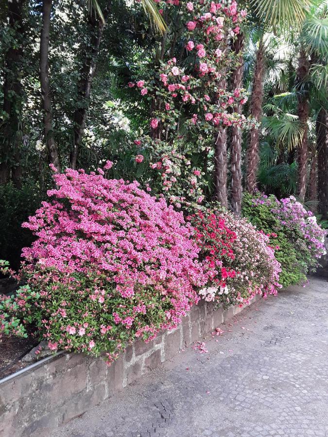 Villa Coris Ferienwohnung Magnolia Merano Dış mekan fotoğraf